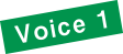 voice1